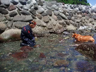 「無題」のサムネイル画像