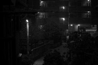 「雪化粧」のサムネイル画像