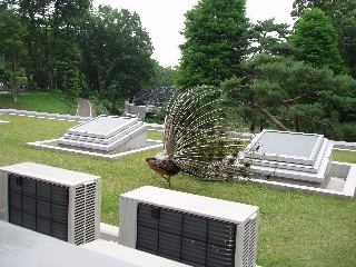 「無題」のサムネイル画像