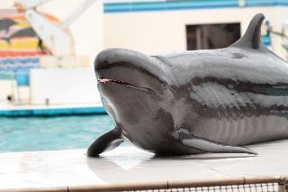 「無題」のサムネイル画像