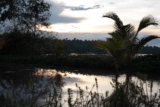 「無題」のサムネイル画像