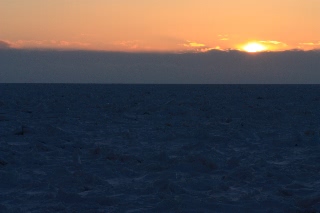 「無題」のサムネイル画像