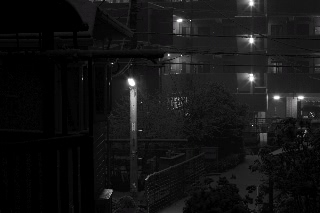 「雪化粧」のサムネイル画像