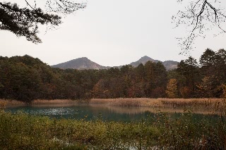 「るり沼」のサムネイル画像