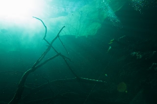 「無題」のサムネイル画像