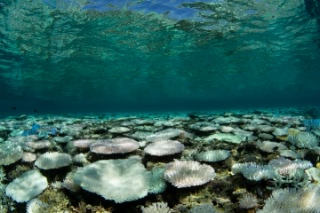 「無題」のサムネイル画像