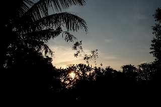 「無題」のサムネイル画像