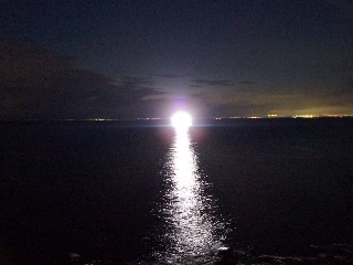 「釣り船かな？」のサムネイル画像