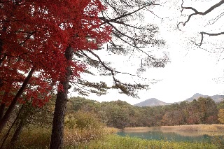 「るり沼」のサムネイル画像