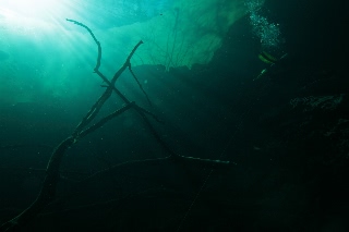 「無題」のサムネイル画像