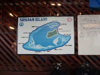 「無題」のサムネイル画像