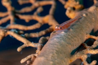 「無題」のサムネイル画像