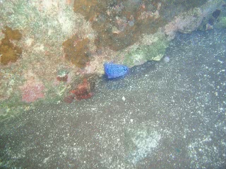 「無題」のサムネイル画像