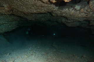 「無題」のサムネイル画像