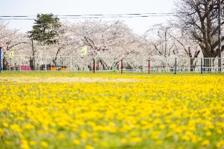 「無題」のサムネイル画像
