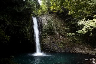 「浄蓮の滝」のサムネイル画像