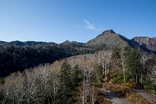 「無題」のサムネイル画像