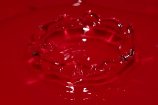 「無題」のサムネイル画像