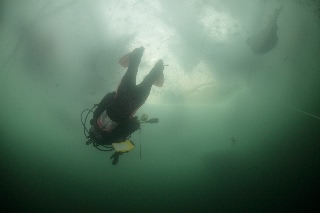 「無題」のサムネイル画像