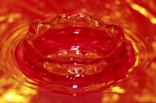 「無題」のサムネイル画像