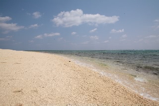 「無題」のサムネイル画像