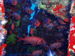 「無題」のサムネイル画像