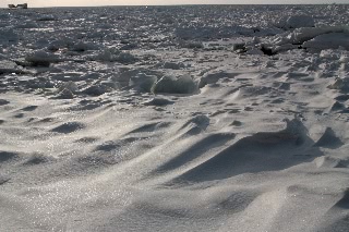 「無題」のサムネイル画像