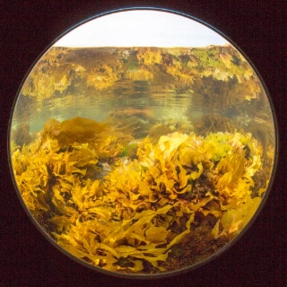 「無題」のサムネイル画像