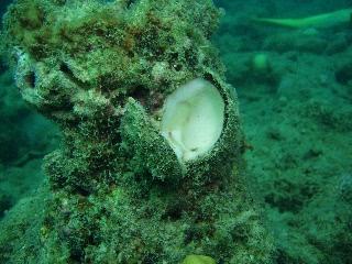 「宝石箱」のサムネイル画像