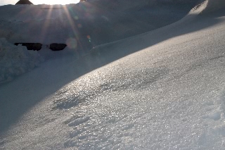 「無題」のサムネイル画像