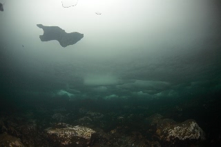 「無題」のサムネイル画像