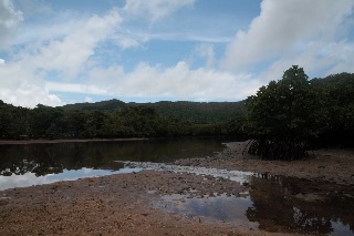 「無題」のサムネイル画像