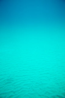 「無題」のサムネイル画像