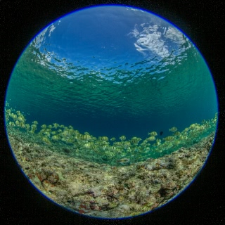 「無題」のサムネイル画像