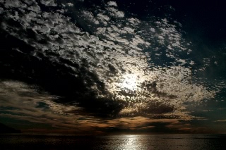 「無題」のサムネイル画像