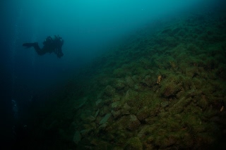 「無題」のサムネイル画像