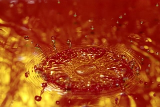 「無題」のサムネイル画像