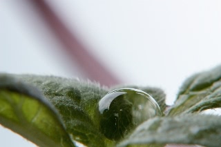 「無題」のサムネイル画像