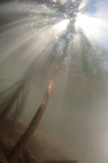 「無題」のサムネイル画像