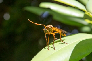 「無題」のサムネイル画像