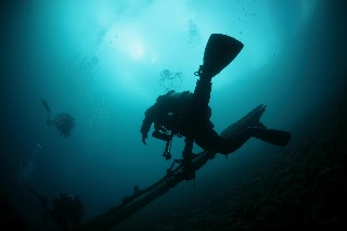 「無題」のサムネイル画像