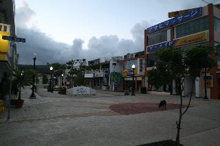 「ここって本当に海外なの?」のサムネイル画像