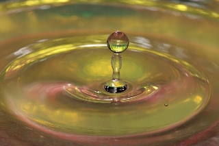 「無題」のサムネイル画像