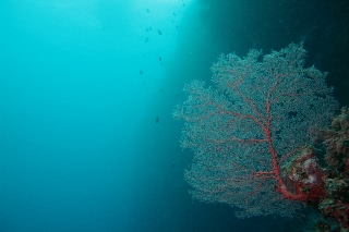 「無題」のサムネイル画像