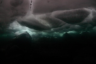 「無題」のサムネイル画像