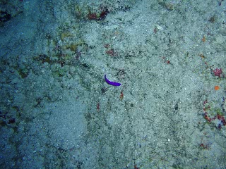 「無題」のサムネイル画像