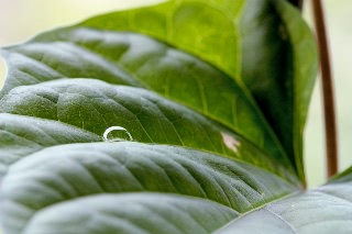 「無題」のサムネイル画像