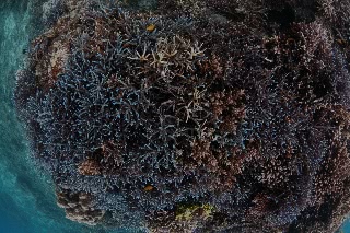 「無題」のサムネイル画像