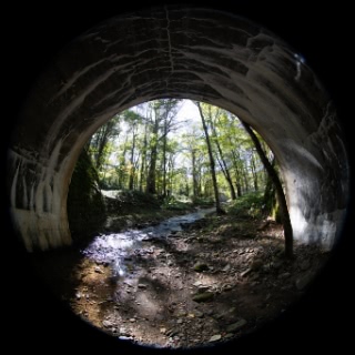 「士幌線五の沢橋梁跡」のサムネイル画像