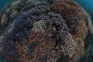 「無題」のサムネイル画像